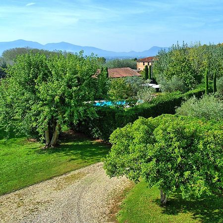 Villa Fiamma By Posarellivillas Piaggiori Exteriör bild